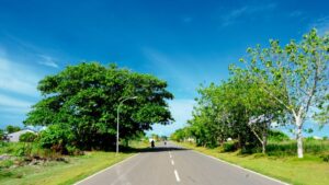 BYD Harmony Auto Sudirman